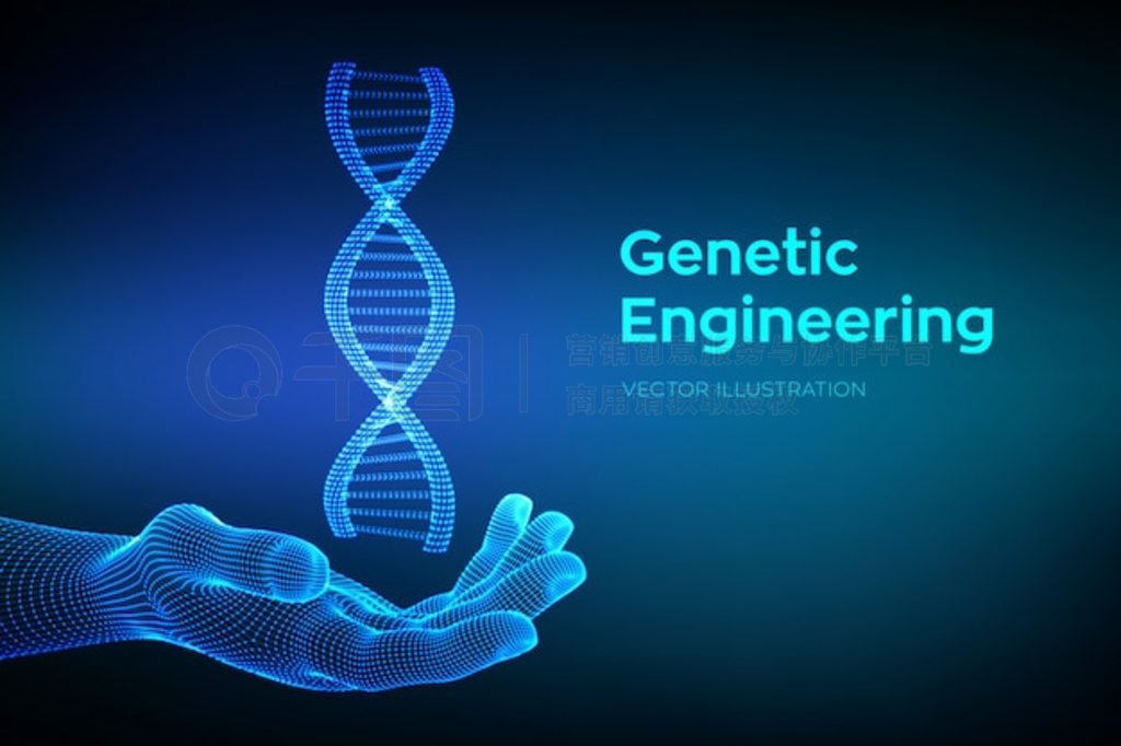 DNA ֡߿ DNA ӽṹ