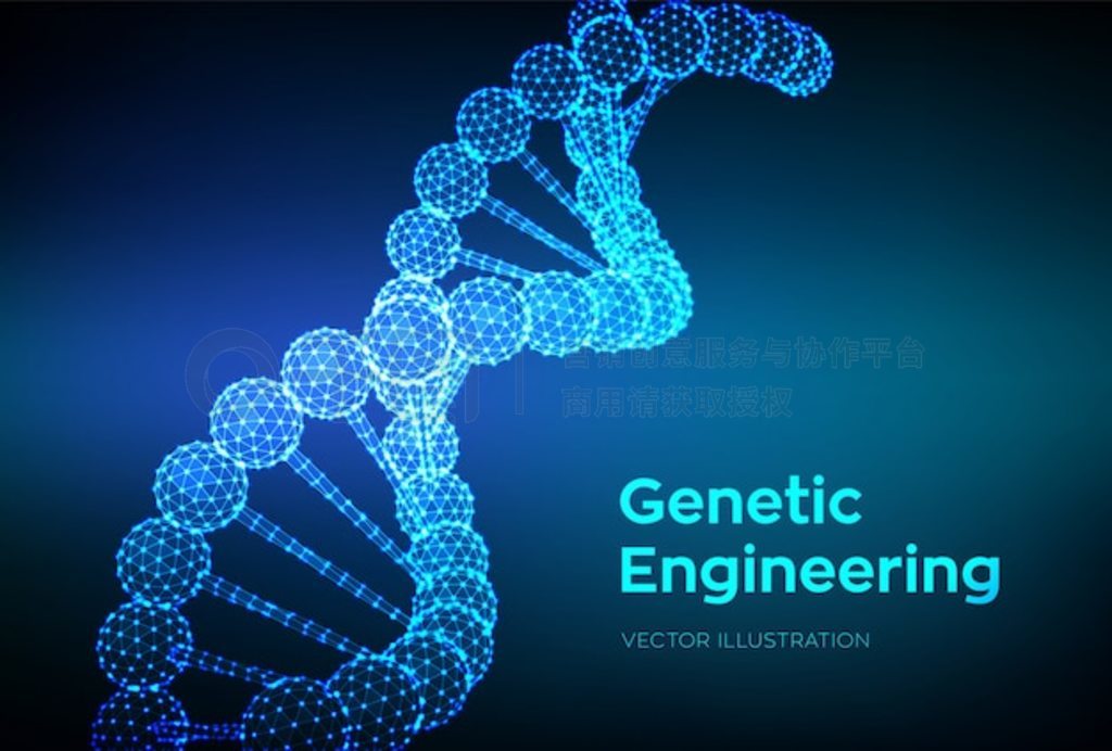 DNA С߿ DNA ӽṹ