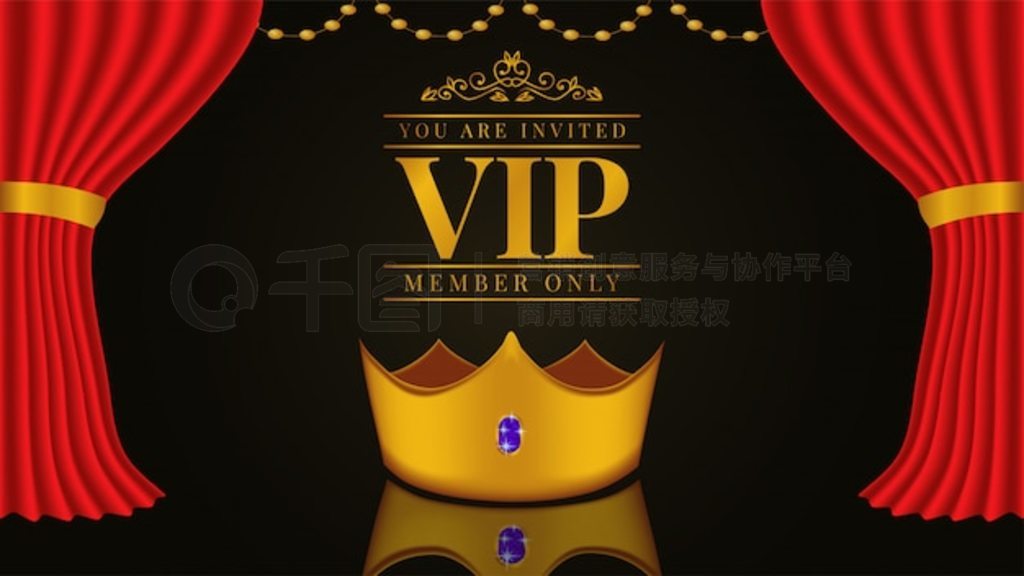 ڵ VIP 뺯ģ