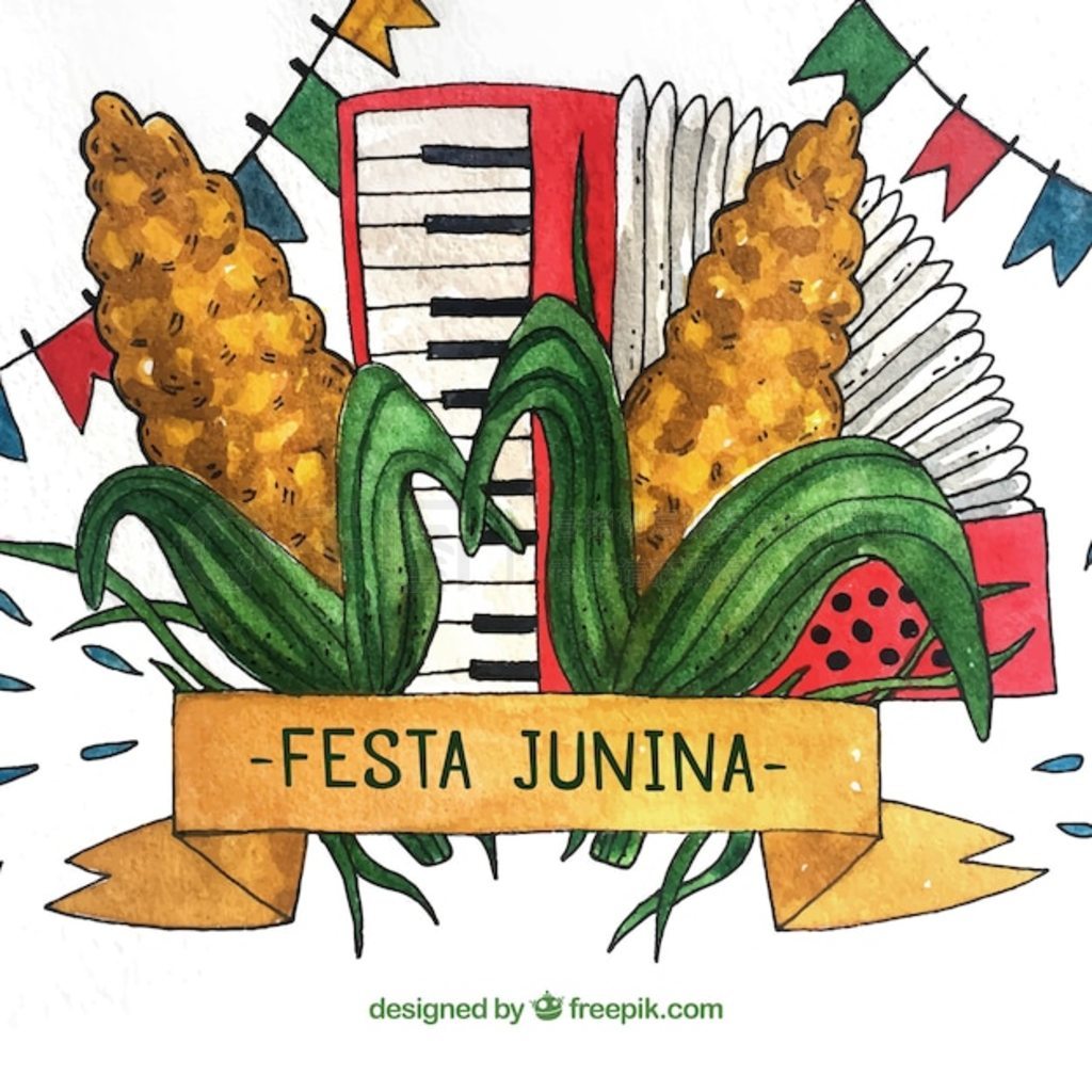 Festa junina 봫ͳˮԪ