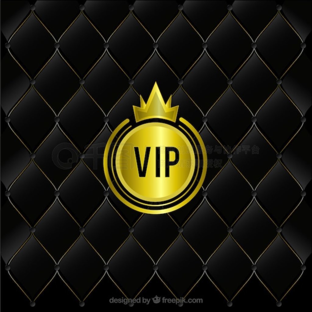 汳 VIP 