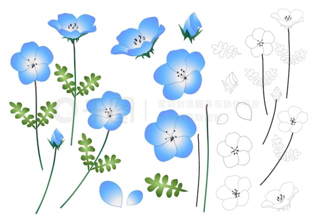 Nemophila Ӥ۾