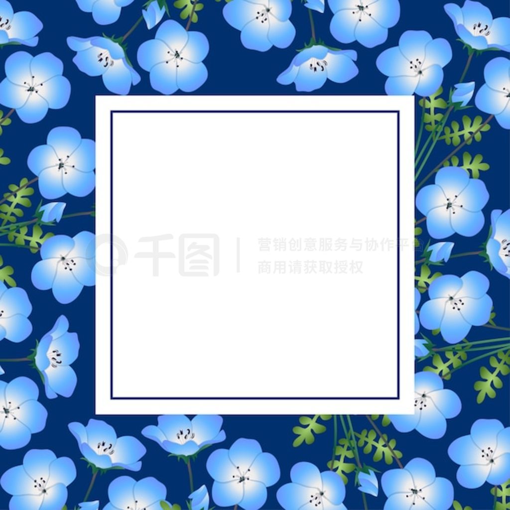 ϵ Nemophila Ӥ۾