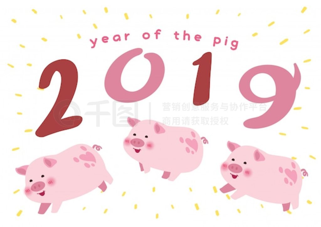 2019廭ʸ