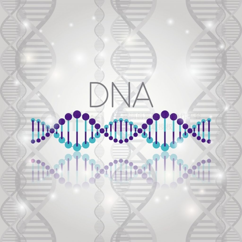 ߽ṹϵ DNA 