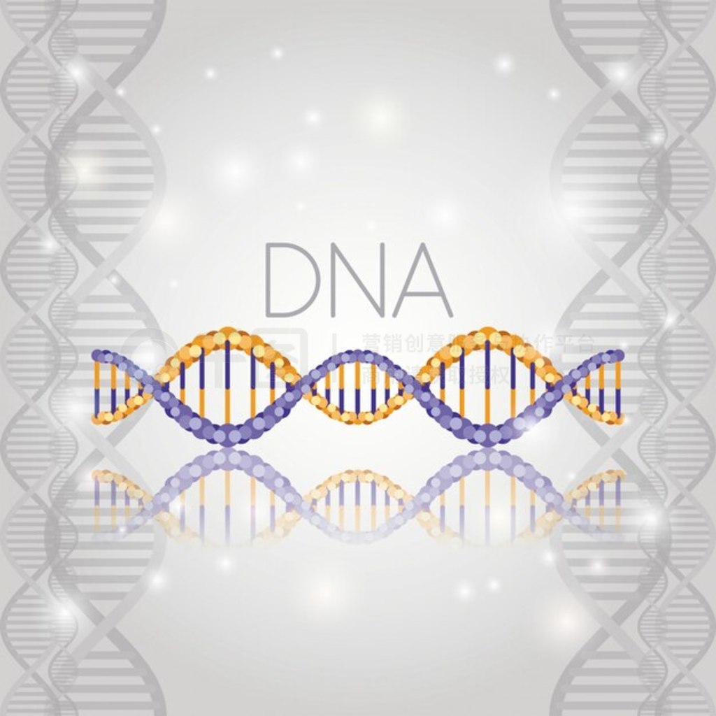 ߽ṹϵ DNA 