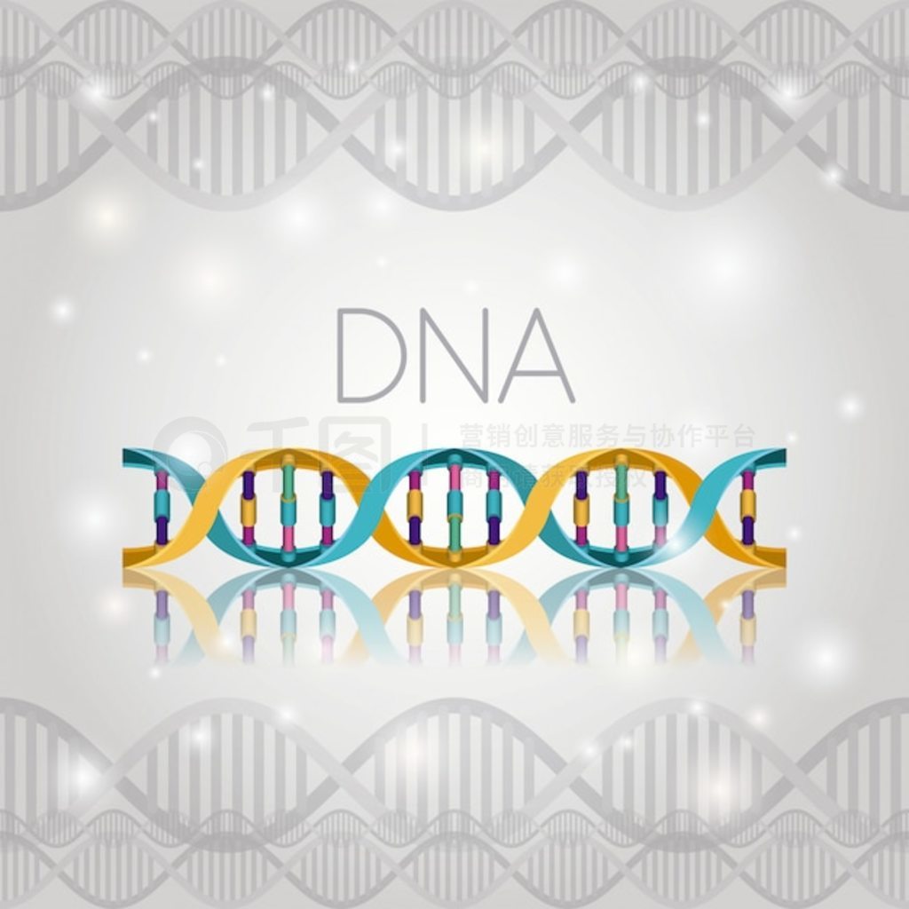 ߽ṹϵ DNA 