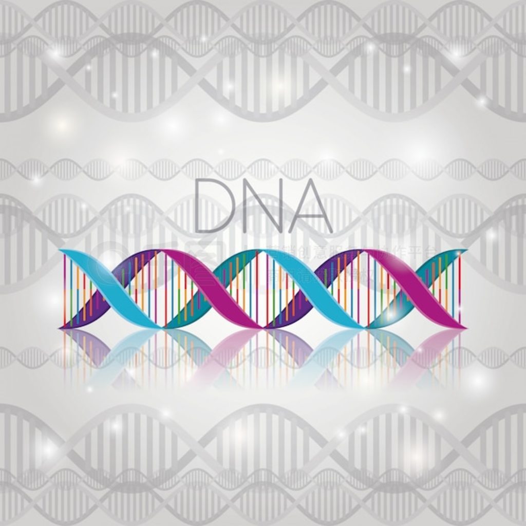 ߽ṹϵ DNA 