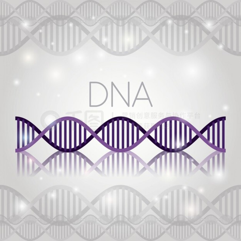 ߽ṹϵ DNA 