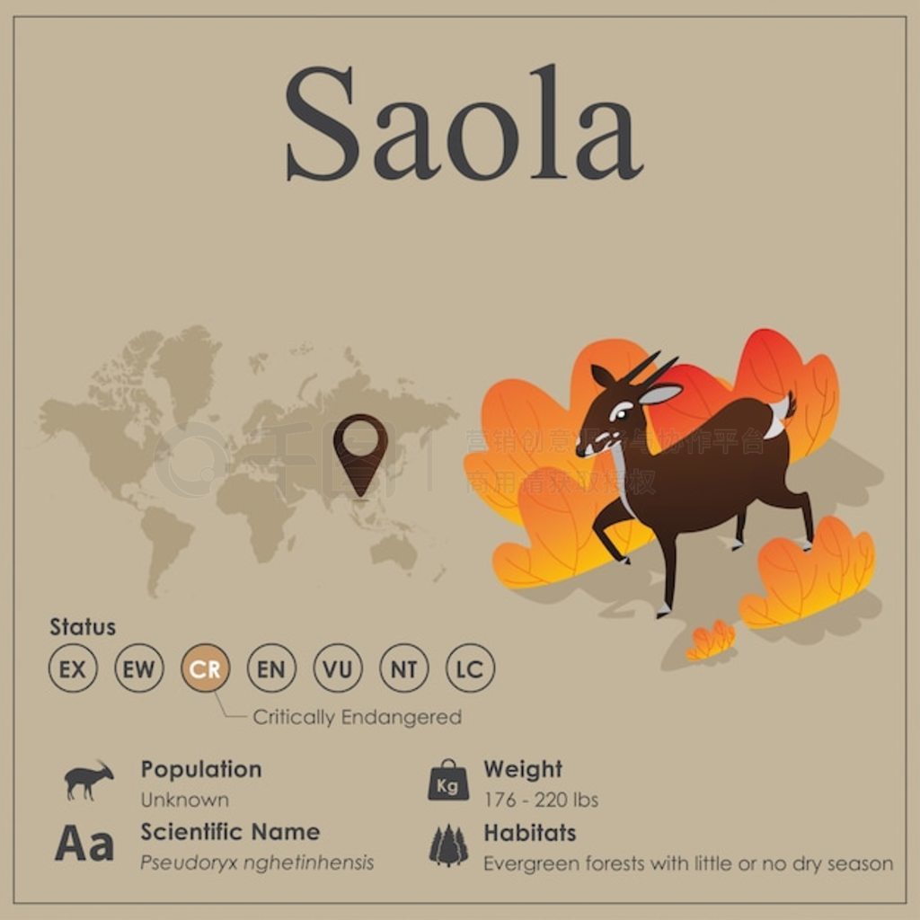 Ⱦ Saola Ϣͼ