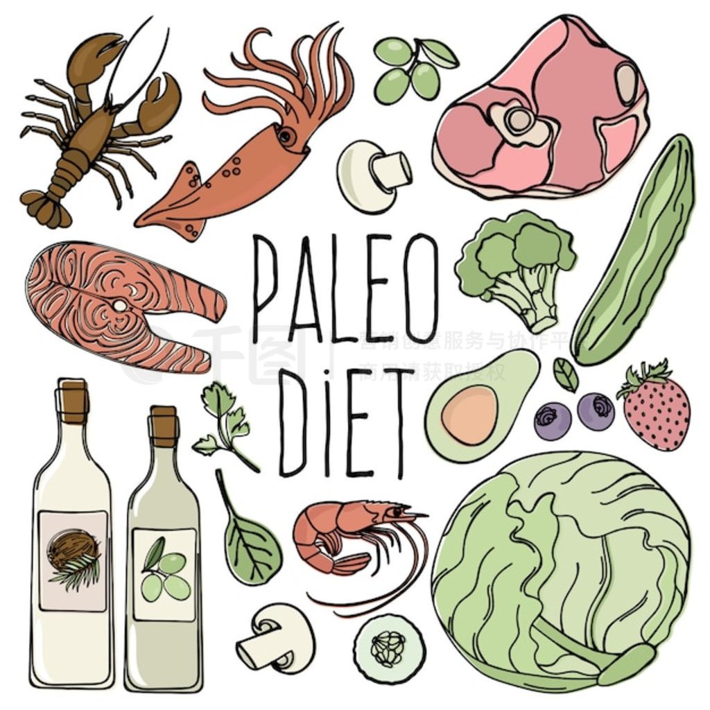 PALEO ʳƷ̼ˮʳ˵