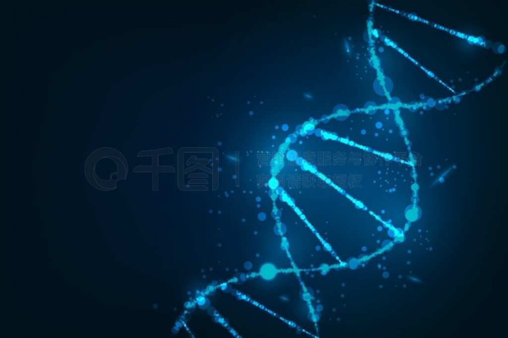  DNA ӵĿѧģ塢ֽ