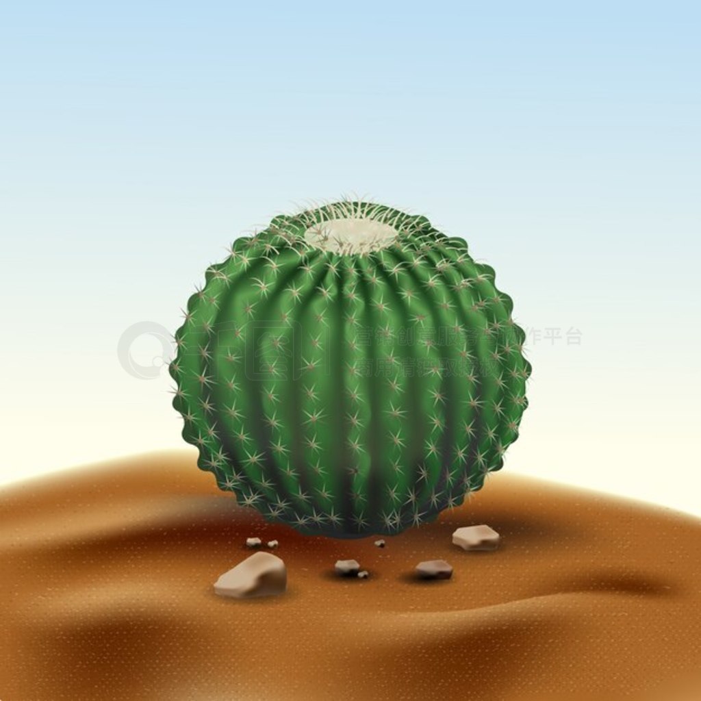 ʵɳĮԲ EchinocactusϢɳʯɳĮֲ