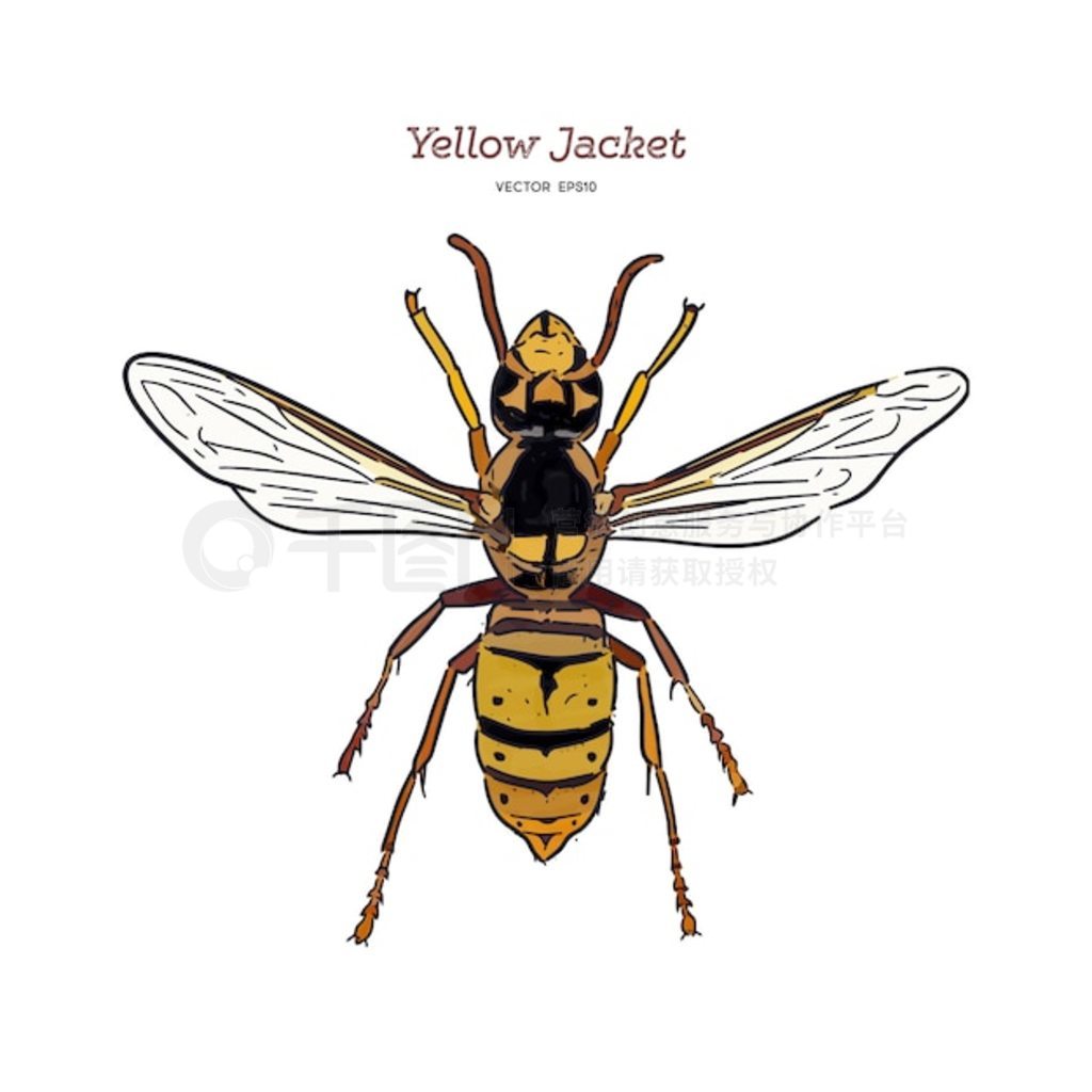 Yellowjacket ǹڻƷһֻ֡ͼʸ