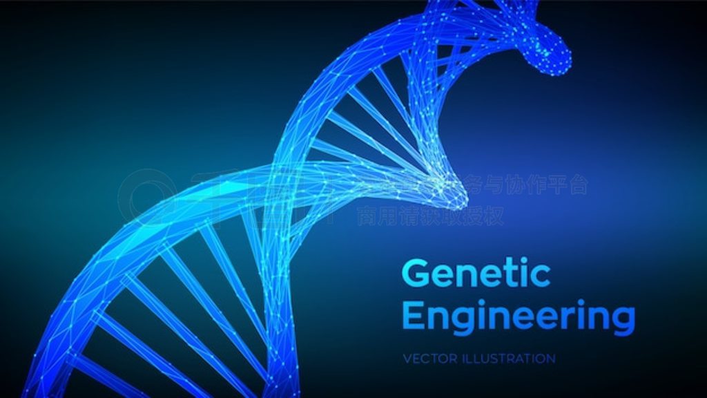 DNA С 3D ߿ DNA ӽṹ DNA