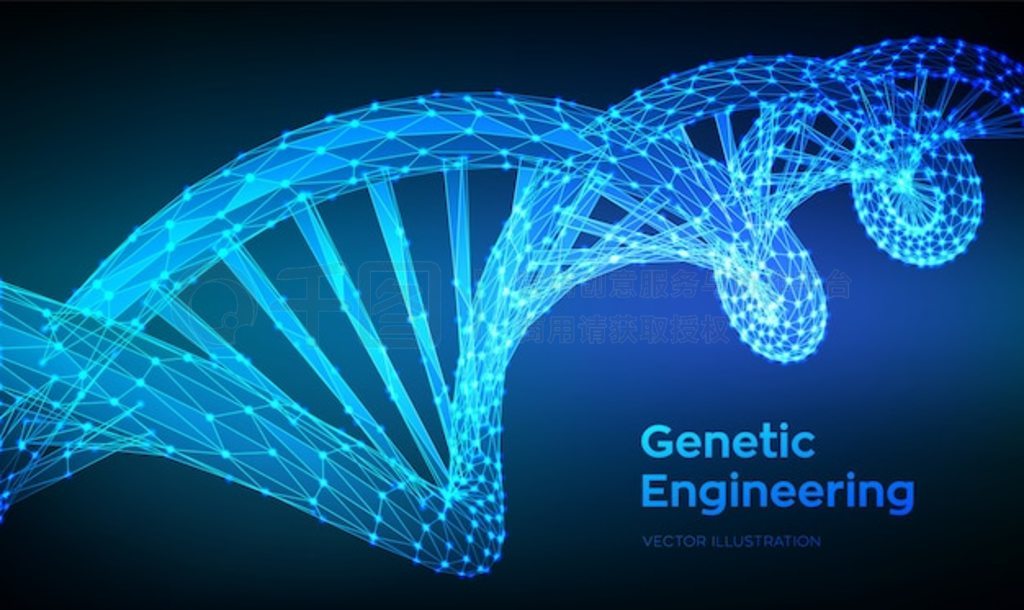 DNA С 3D ߿ DNA ӽṹ