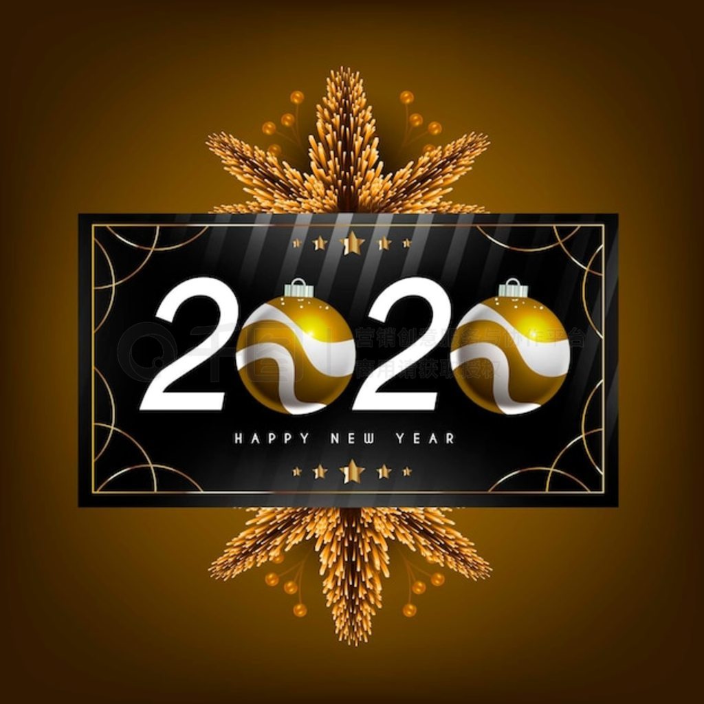 ʵ2020