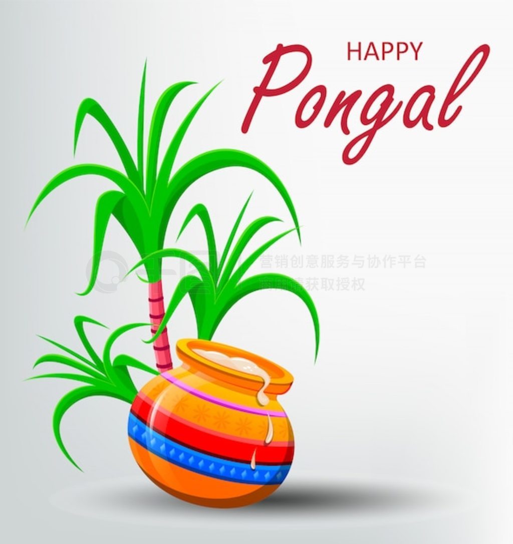 ɫϵĿ Pongal ؿ