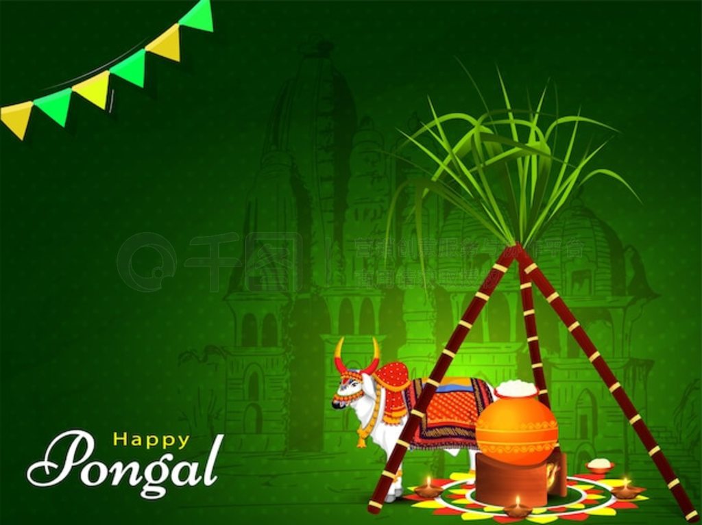 ɫؿиᡢϵǰţ֣ף Pongal