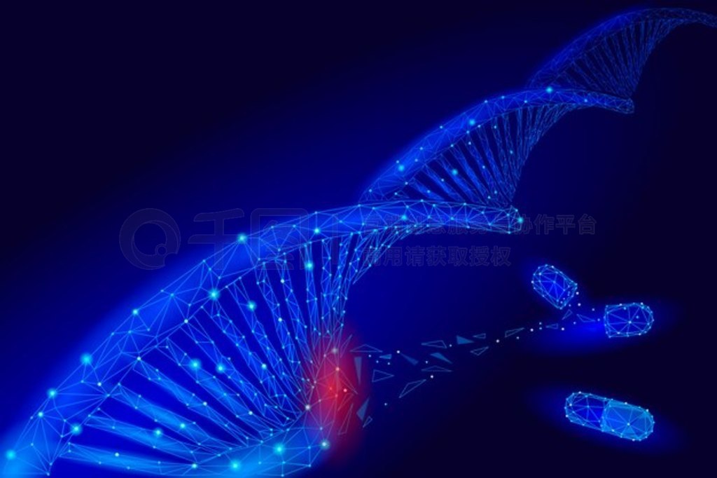  DNA 3D ѧӽṹ;ۡε