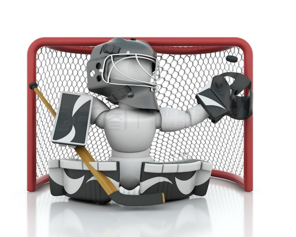  Netminder  3d Ⱦ