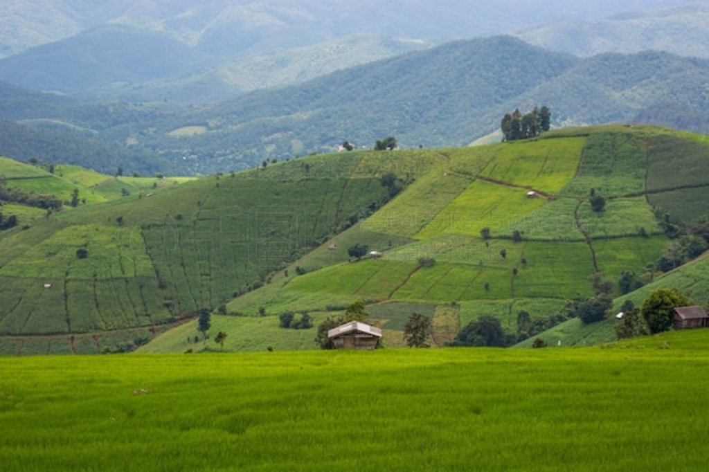 ̩ Ban Pa Phong Pieng ɽϵɫ