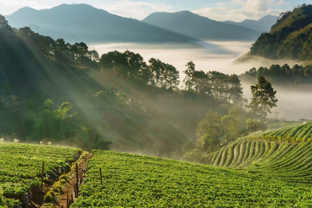  doi angkhang ɽĳ