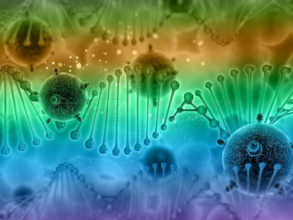 вϸ DNA  3D ҽѧ