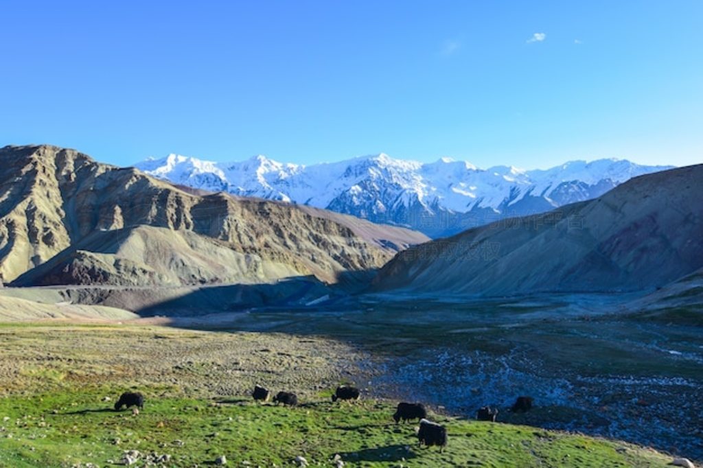  Leh Ladakh 羰·