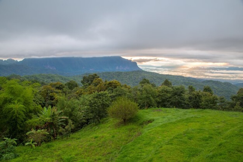  Doi Mae Ta man ȥ Doi Luang 