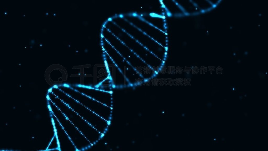  DNA ṹ