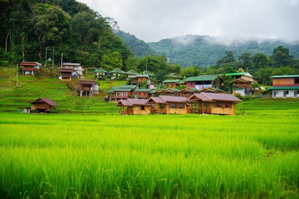 Mae Klang Luang ĵ޼̩ͥ