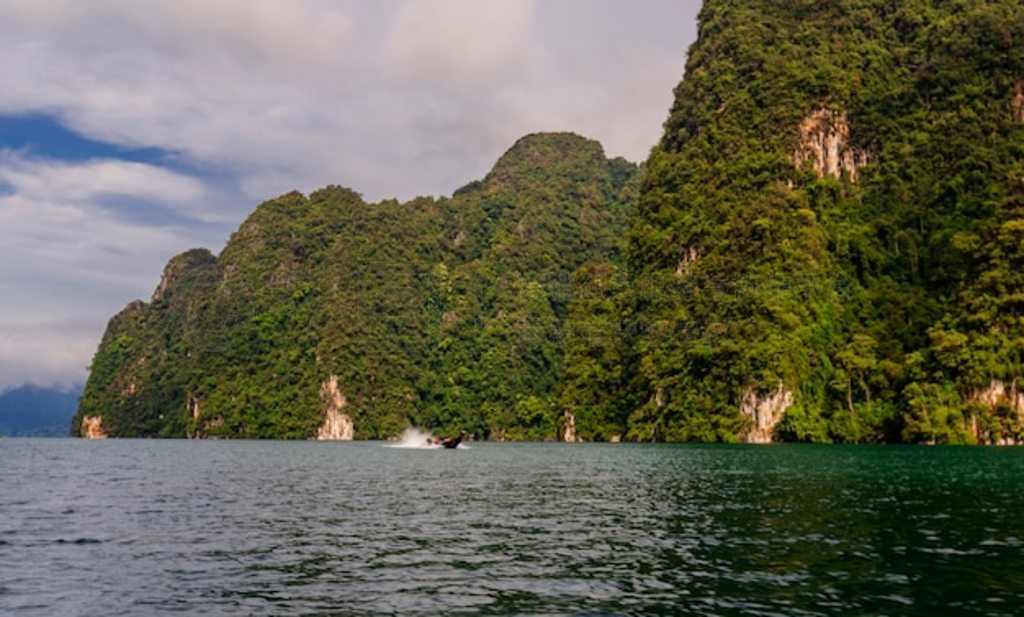 ̩߷ Khao Sok ҹ԰õļ