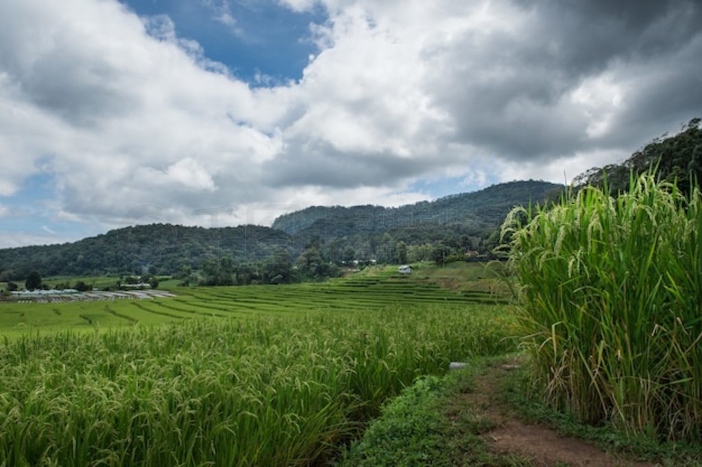 ̩ Mae Chlang Luang ɫ