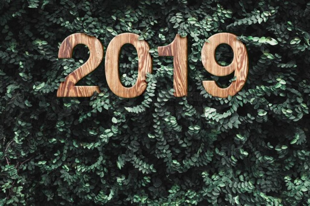 Ҷǽϵ 2019 ľ