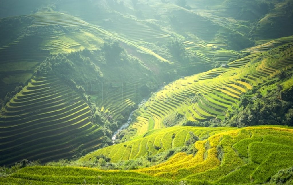 Խ Mu Cang Chai ˮɫ