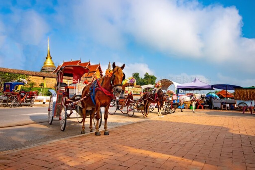 ϰ Phra That Lampang Luang µ