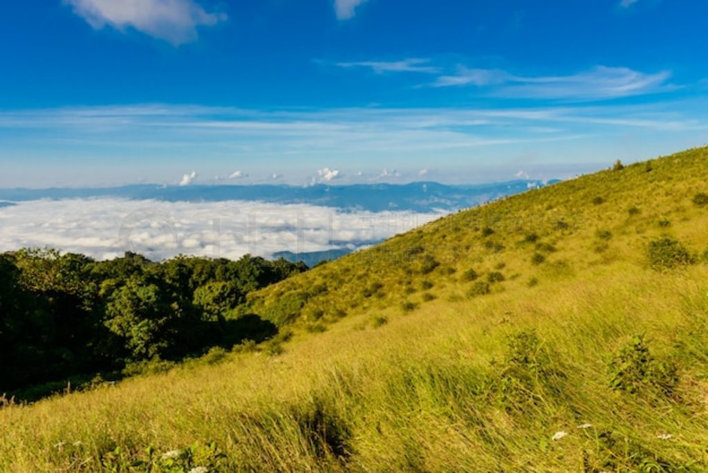 Kew Mae Pan Nature Trail ֵͽС