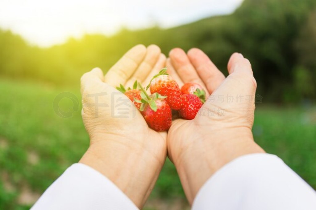 ŮеĲݮ