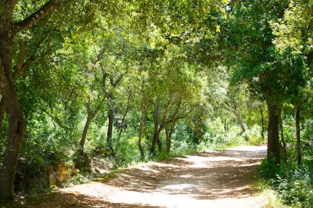 Cala en Turqueta Ciudadela ÷ŵɭ