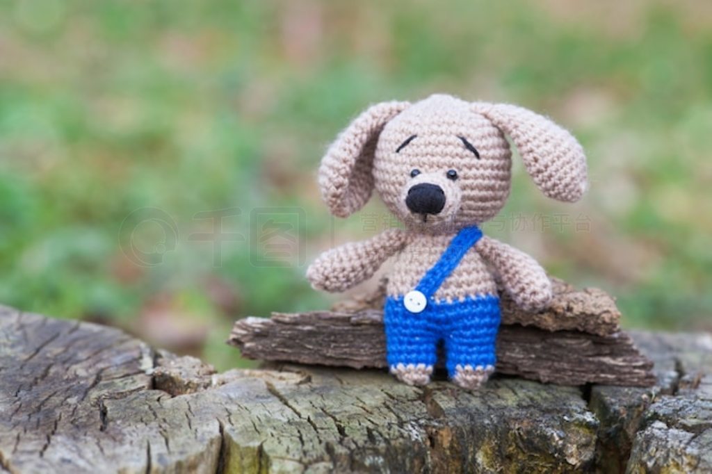 һֻɫӵɫС֯ߣֹamigurumi