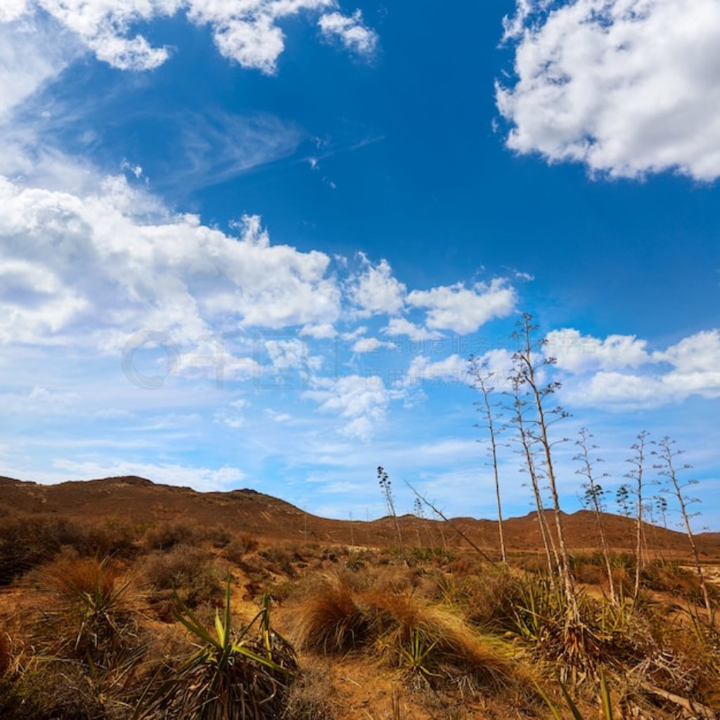 ÷ Playa los Genoveses ̲ Cabo de Gata