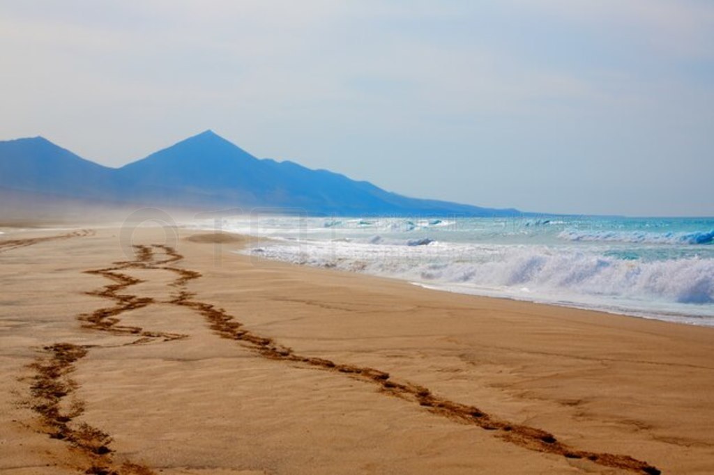 Ⱥ Cofete Fuerteventura ̲