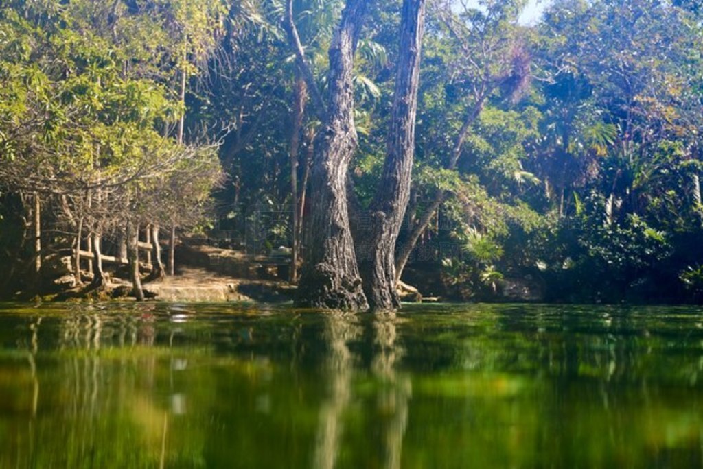 Cenote īά