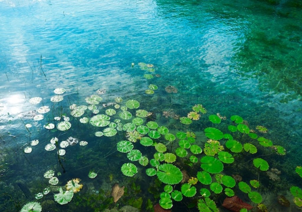 īк Laguna de Bacalar к