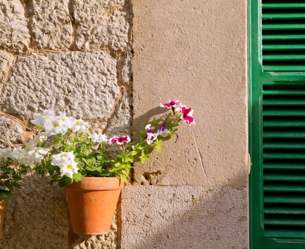 Կﵺ Valldemossa Ļ