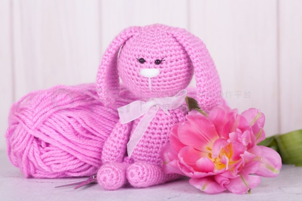 ۺɫ㡣ʥ˽װΡ֯ߡamigurumi