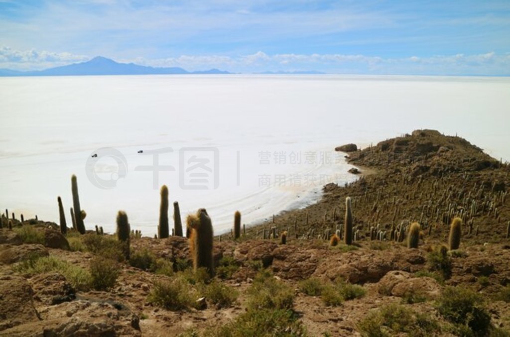  (Salar de Uyuni)ӡ (Isla Incahuasi) ̲