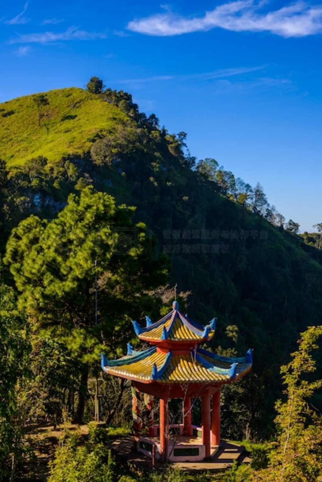 Doi Pha Tang ۵㣬̩ʡλ