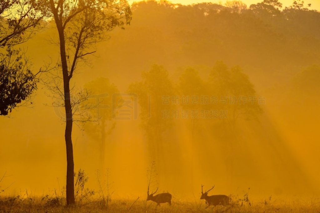 ̩ Thung Kraang Chaiyaphum ʡļͥ¹